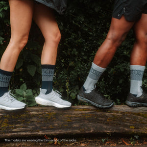 Adventurer (2 pairs)