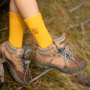 Elements (3 pairs) - Nordic Socks