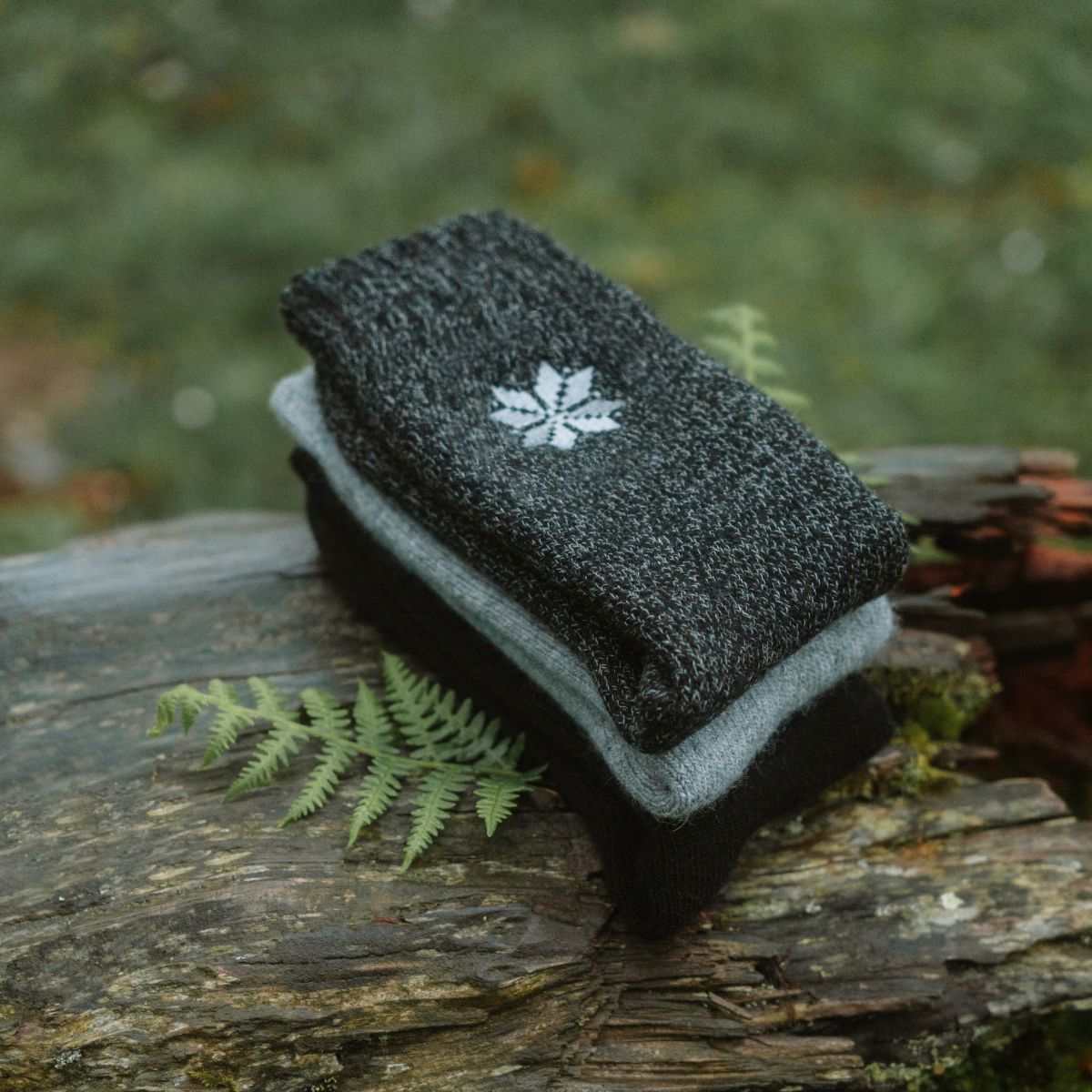 Charcoal (3 pairs) - NS