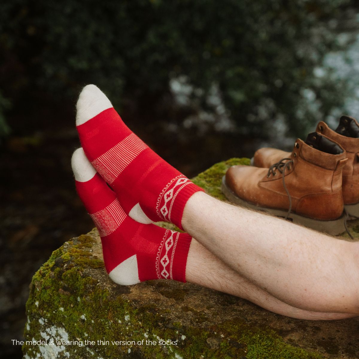 Adventurer Low-Cut (2 pairs) - Nordic Socks US